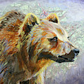 Kootenai Grizzly