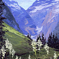 Beargrass and Gunsight Pass